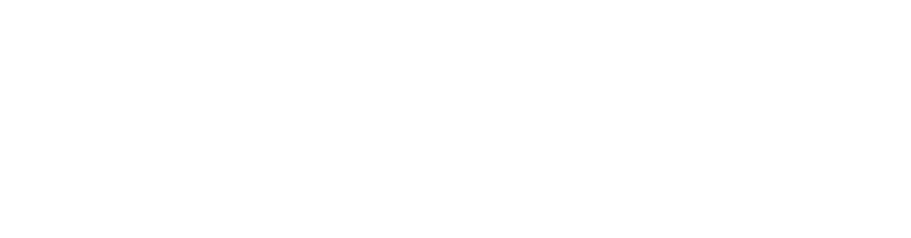 CZ BASKETBALL