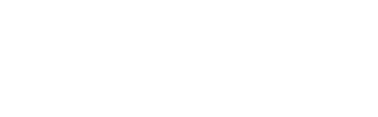 PPG
